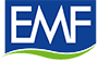 Emf Labor